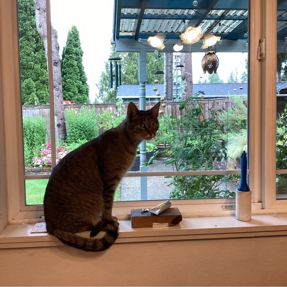 Meet your Posher, Shirley - Picture 9 of 16